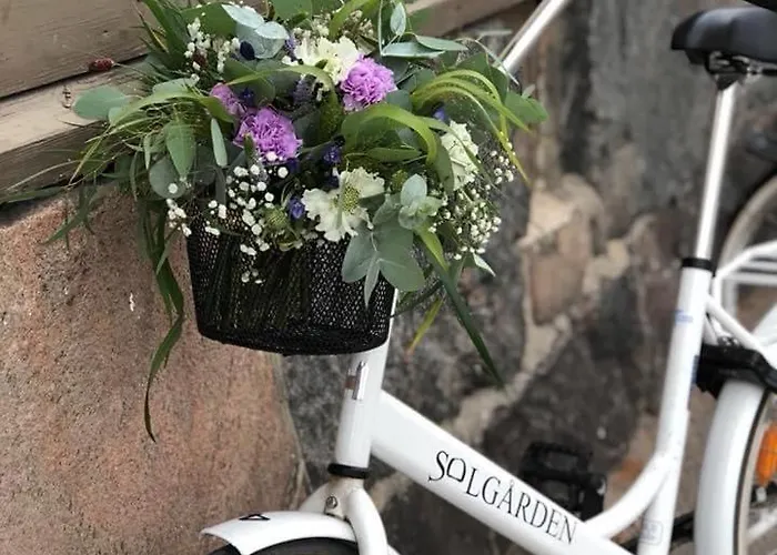 فندق مبيت وإفطار Solgarden *